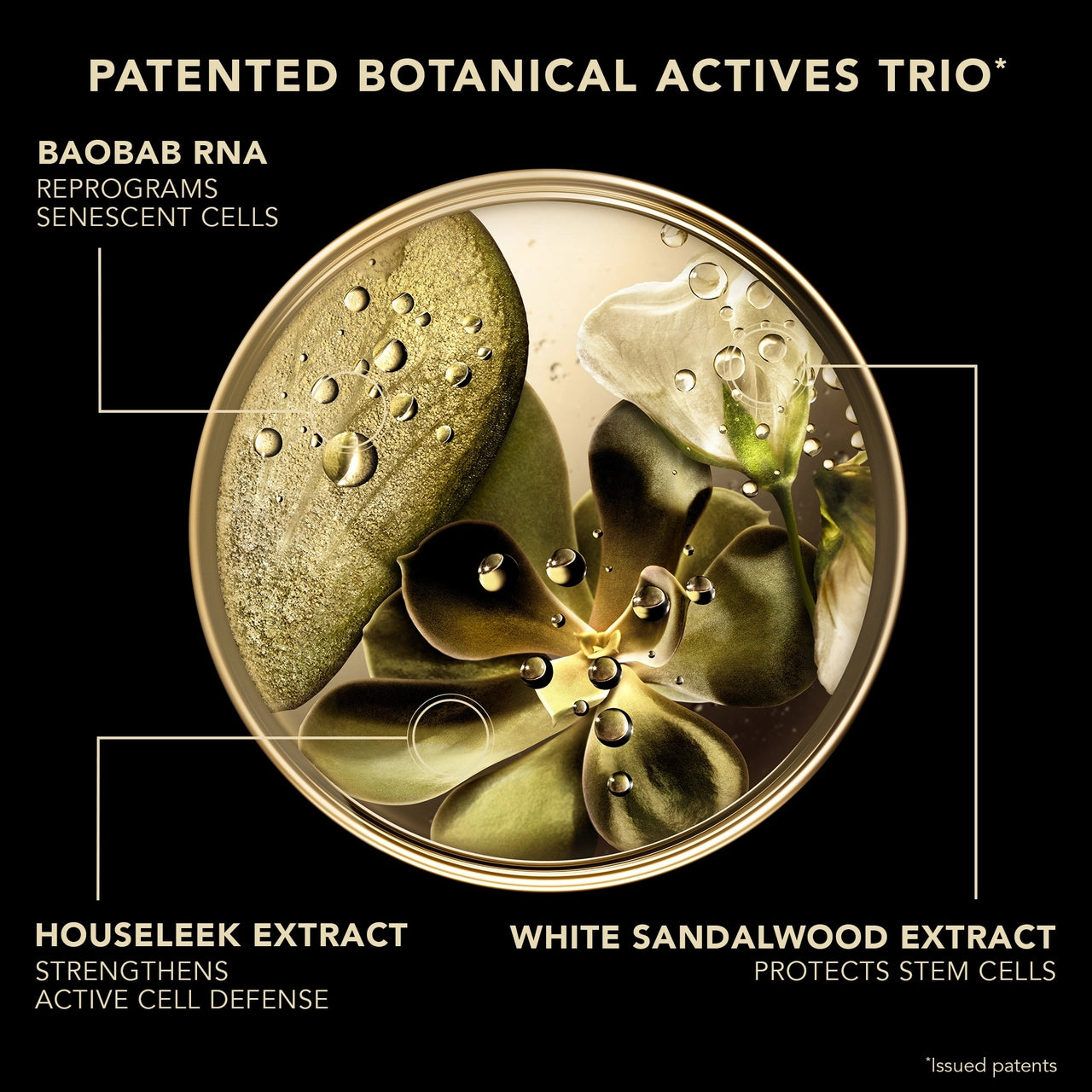 كريم العيون الفاخر من ليراك - 20 مل