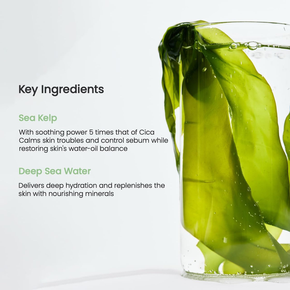 Buy BIodance Refreshing Sea Kelp Real Deep Mask (4 Masks – 34g Each) at Best Price Online in UAE - Glow Beauty