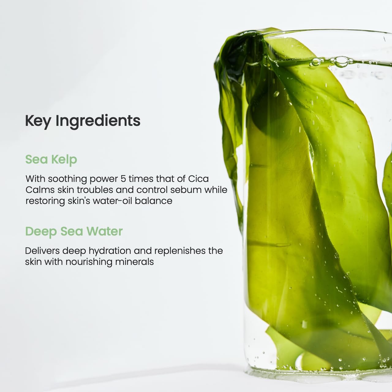 Buy BIodance Refreshing Sea Kelp Real Deep Mask (4 Masks – 34g Each) at Best Price Online in UAE - Glow Beauty